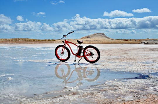 Electric bikes